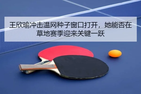 王欣瑜冲击温网种子窗口打开，她能否在草地赛季迎来关键一跃